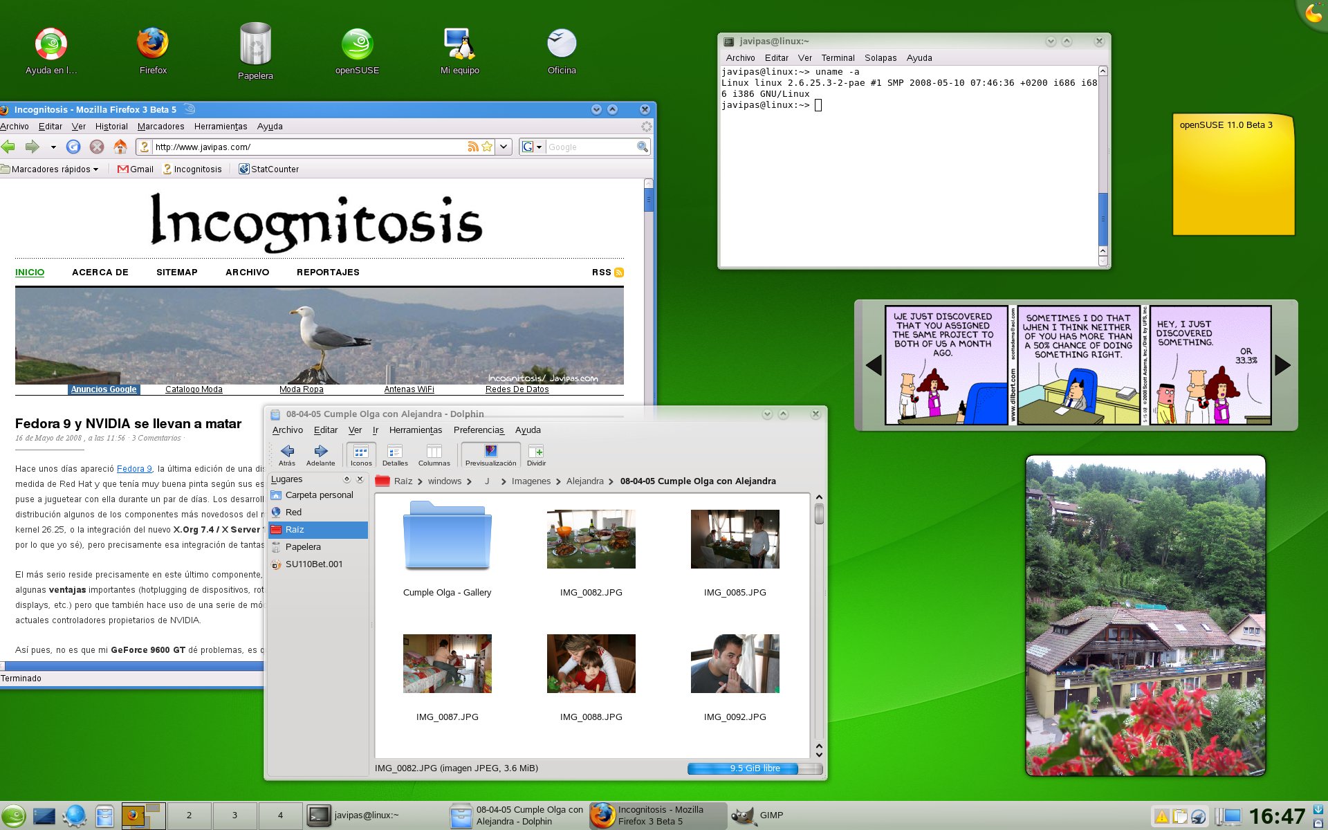 opensuse11beta3-1