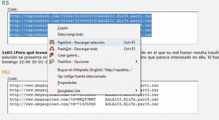 rapidshare-flashgot-1.jpg