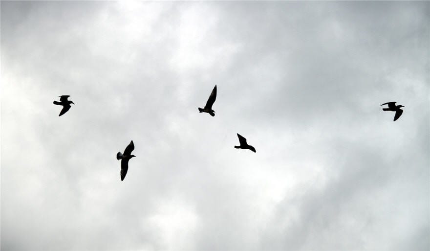 Incognitosis de fin de semana (XIV)