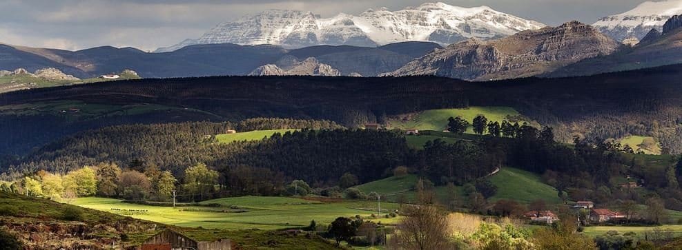 Incognitosis de fin de semana (XXV)