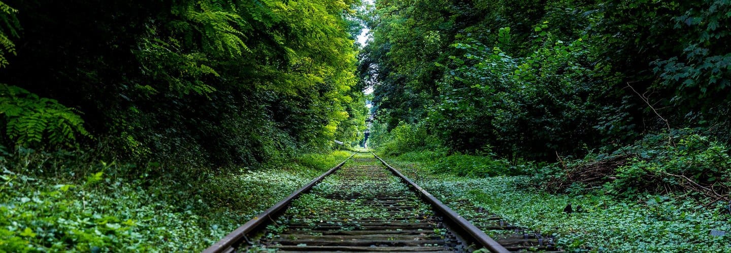 Incognitosis de fin de semana (XXXVI)