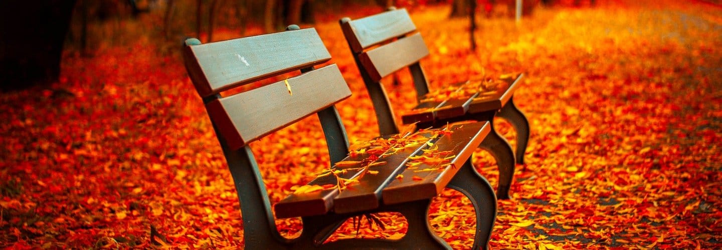 Incognitosis de fin de semana (XLIII)