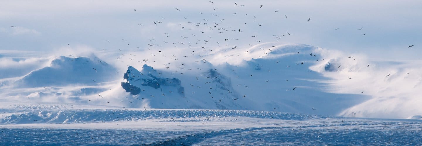 IFs #32 (Incognitosis de Fin de Semana)