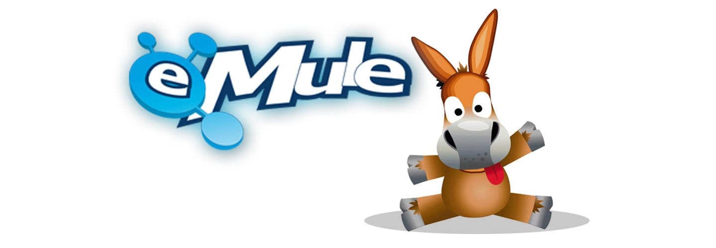 Volveremos a piratear más que nunca