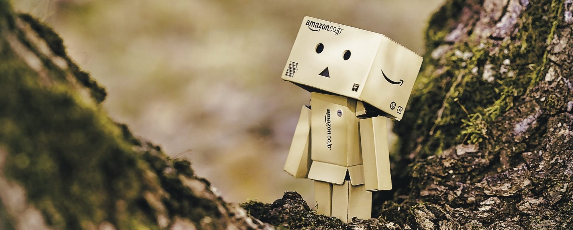 Amazon puede subir precios (casi) tanto como quiera