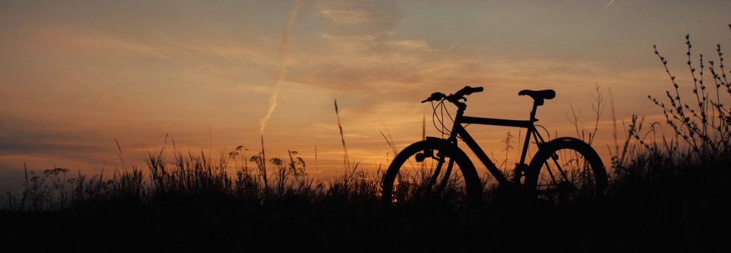 La IA es la nueva bicicleta para la mente