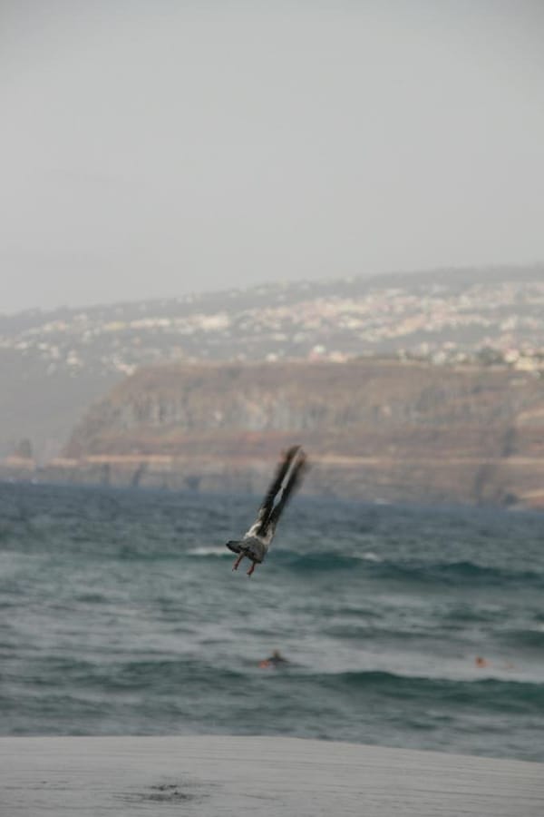 Canon EOS 500D (T1i). Quiero.