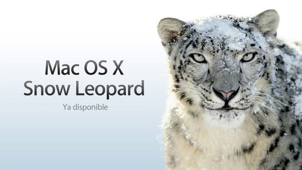 ¿Es Snow Leopard un pequeño fiasco?