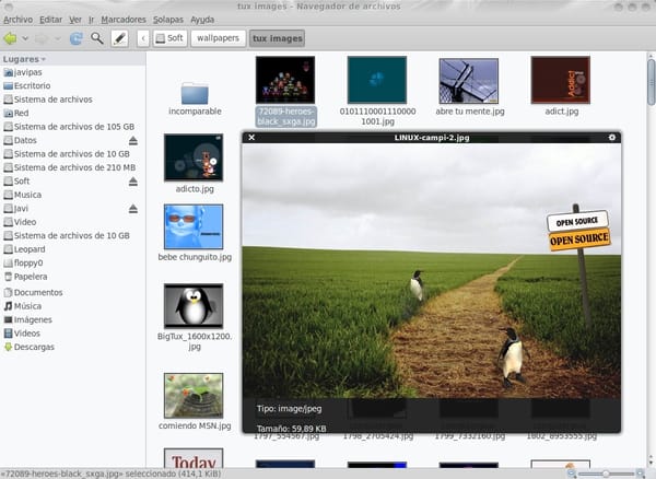 Elementary + CoverFlow + Preview: Linux copia a Mac OS X