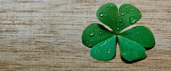 Buscando a una dama llamada suerte