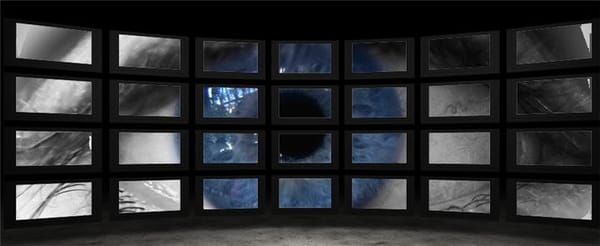 Adiós a la privacidad