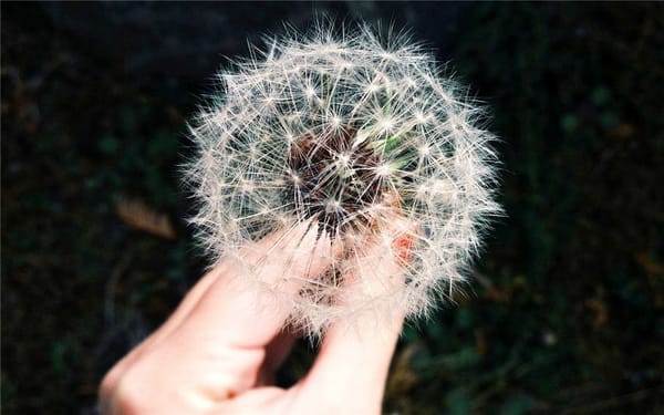 Incognitosis de fin de semana