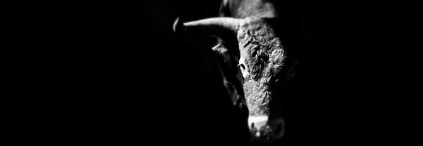 Incognitosis de fin de semana (XXI)