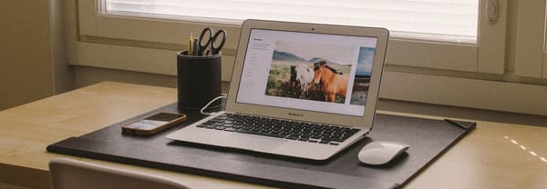 Incognitosis de fin de semana (XXX)