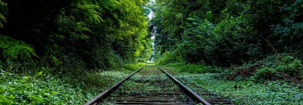 Incognitosis de fin de semana (XXXVI)