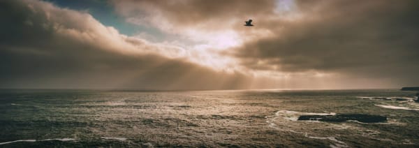 Nueve meses en Patreon