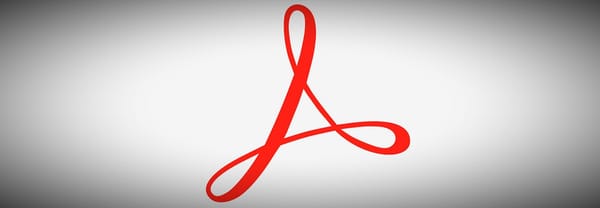 Pobre e incomprendido PDF