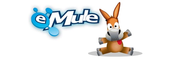 Volveremos a piratear más que nunca