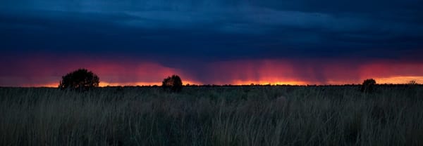 'Los asquerosos', premio JaviPas a la novela de 2020