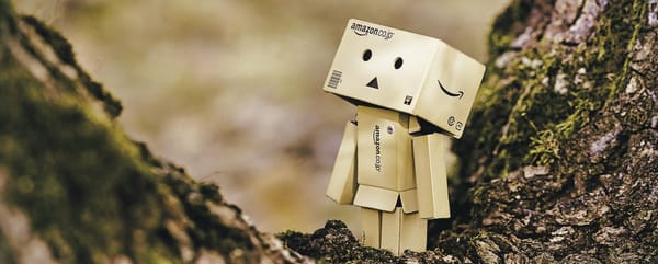 Amazon puede subir precios (casi) tanto como quiera