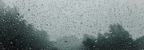 Igual tu vida es una mierda